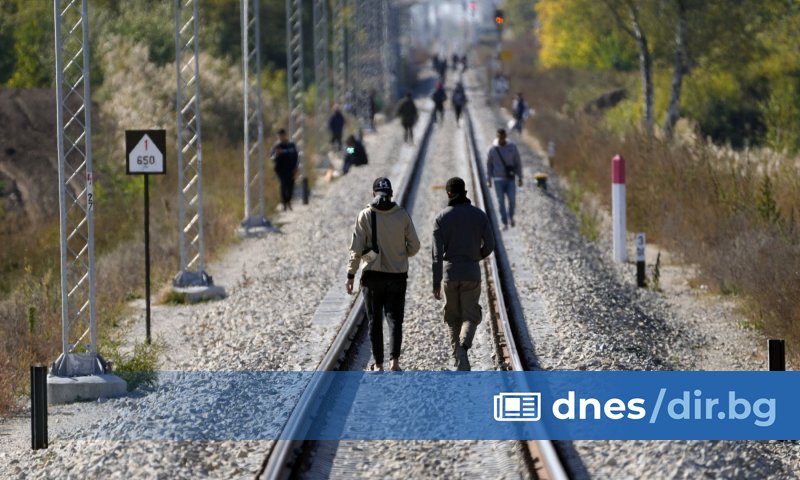 През първото тримесечие на 2025 година броят на молбите за