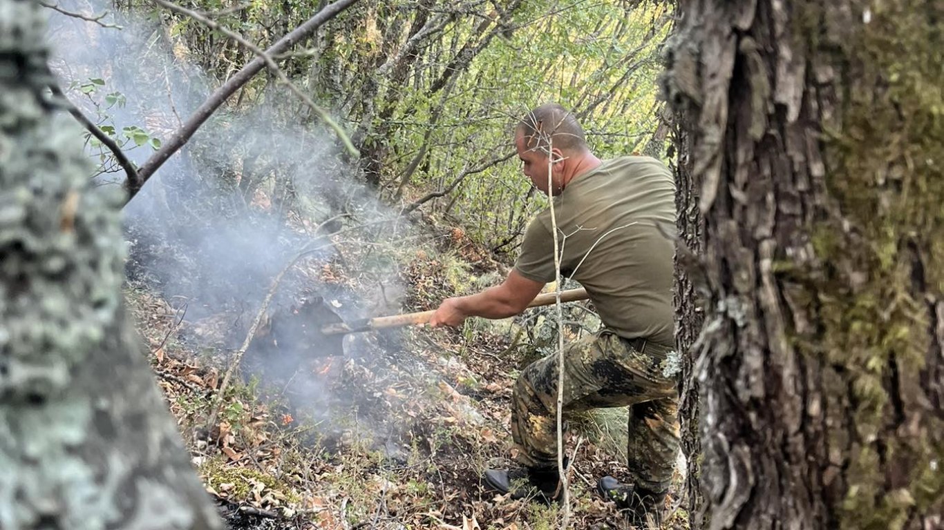 Пожар избухна над асеновградско село, шест екипа гасят огъня