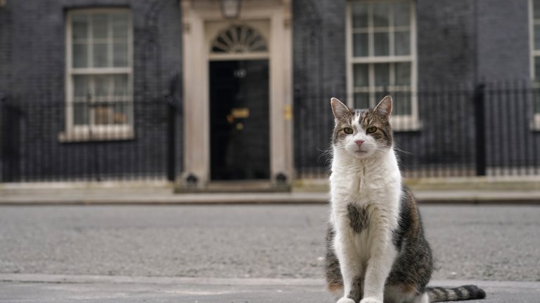 Ще намери ли общ език котаракът Лари с кучето Аксел на новия британски премиер