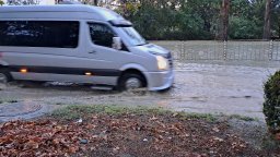 Бурята повали клони и дървета във Варна, огромен кестен затвори бул. "Приморски"