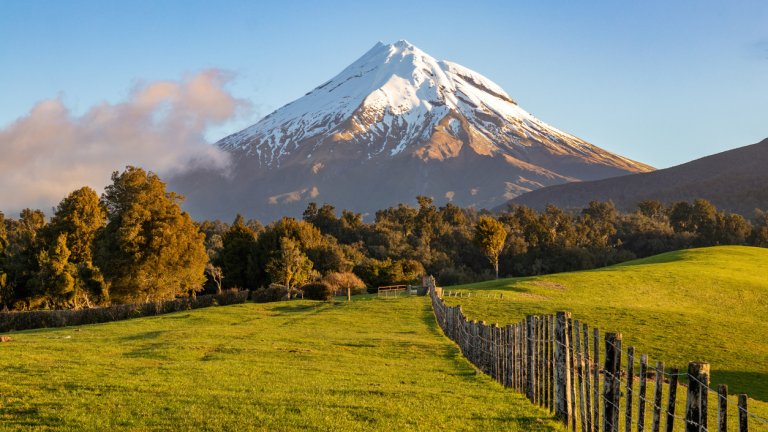 Огънят на Мордор изпепели парка, в който е заснет "Властелинът на пръстените" (видео)