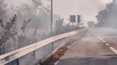 Пожар и силно задимяване затвори пътя Русе - Бяла (видео)