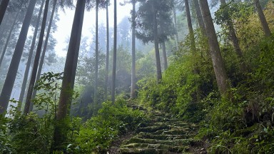 По следите на будизма, шинти и духовното прераждане в Кумано Кодо