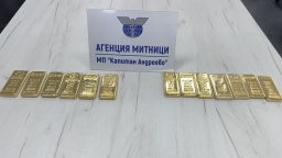 Румънци опитаха да пренесат 13 кг златни кюлчета в колани през Капитан Андреево