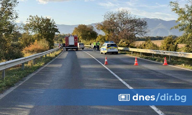 Момиче на 8 години и шест жени са пострадали при