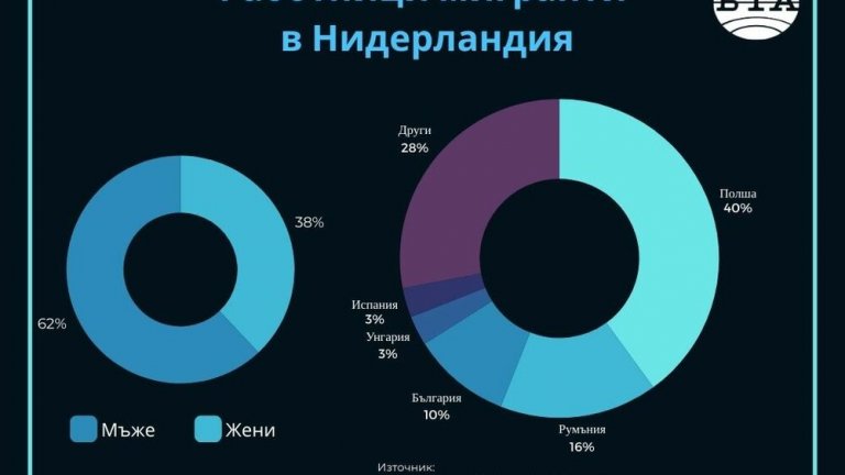 "Ножът реже в две посоки": Намаляването трудовата миграция в Нидерландия е трудно