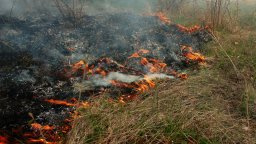 Пожар гори втори ден в планината над Берковица