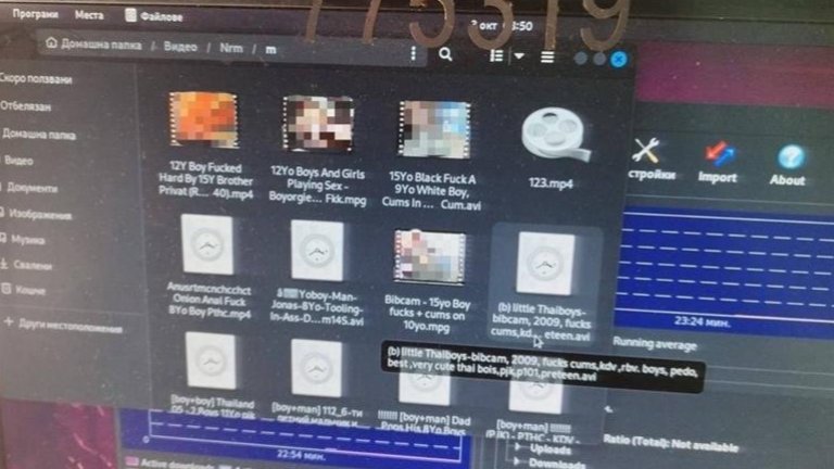 Арестуваха пловдивски спецполицай за детска порнография