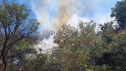 Голям пожар гори в района на пловдивските села Ягодово и Катуница