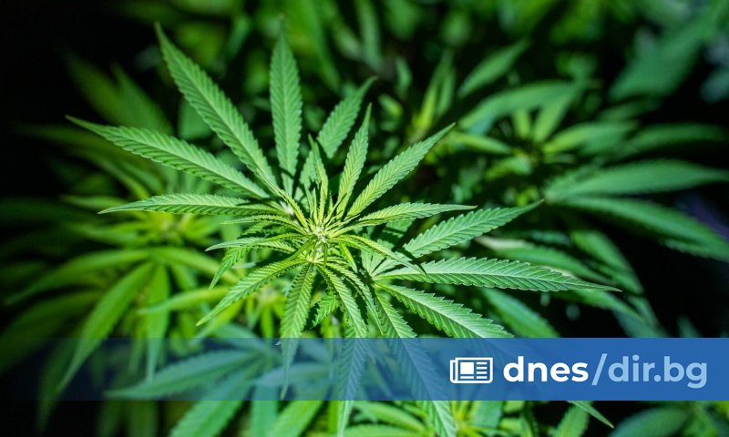 Разкрита е в квартал Галата. Това съобщиха днес от пресслужбата