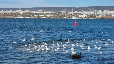 Варненският апелативен съд потвърди определение на Окръжния съд в града
