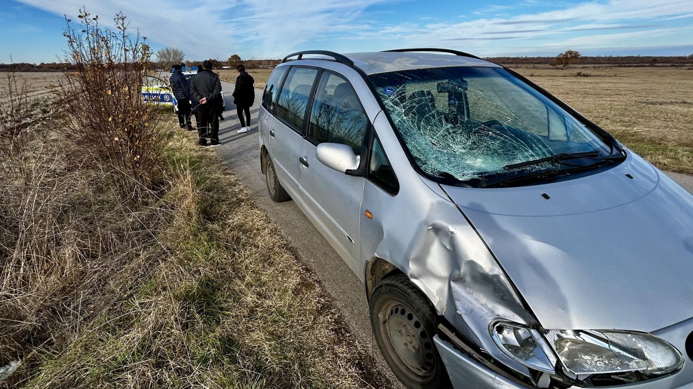 Кола удари изскочило на пътя младо конче край хасковско село (снимки/видео)