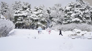 Невиждан от над 100 години сняг блокира Южна Корея и взе жертви (снимки)