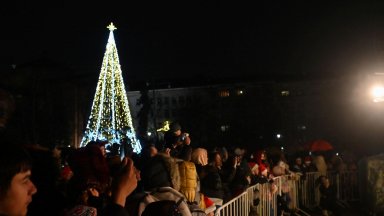 Светлините на коледната елха на София озариха пл. "Св. Александър Невски"