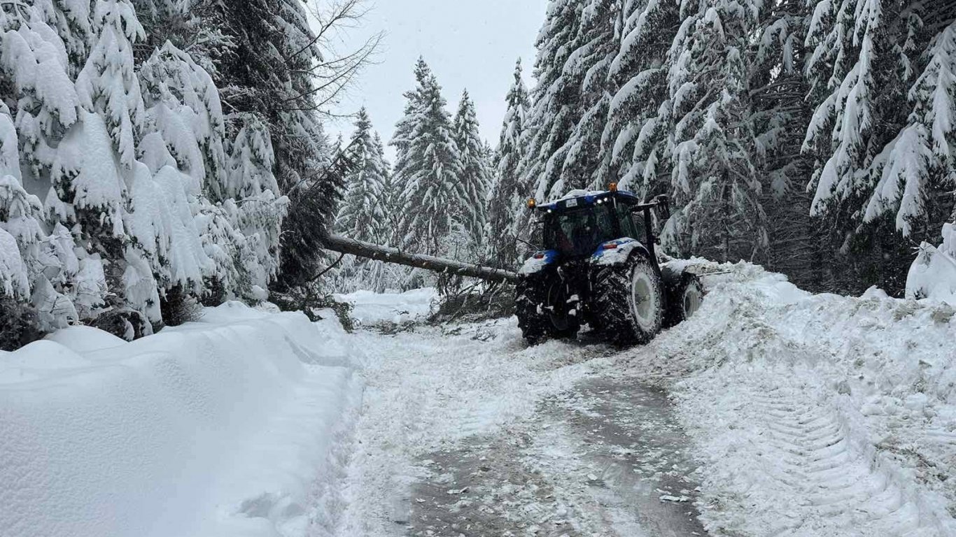 Пътят за Боровец