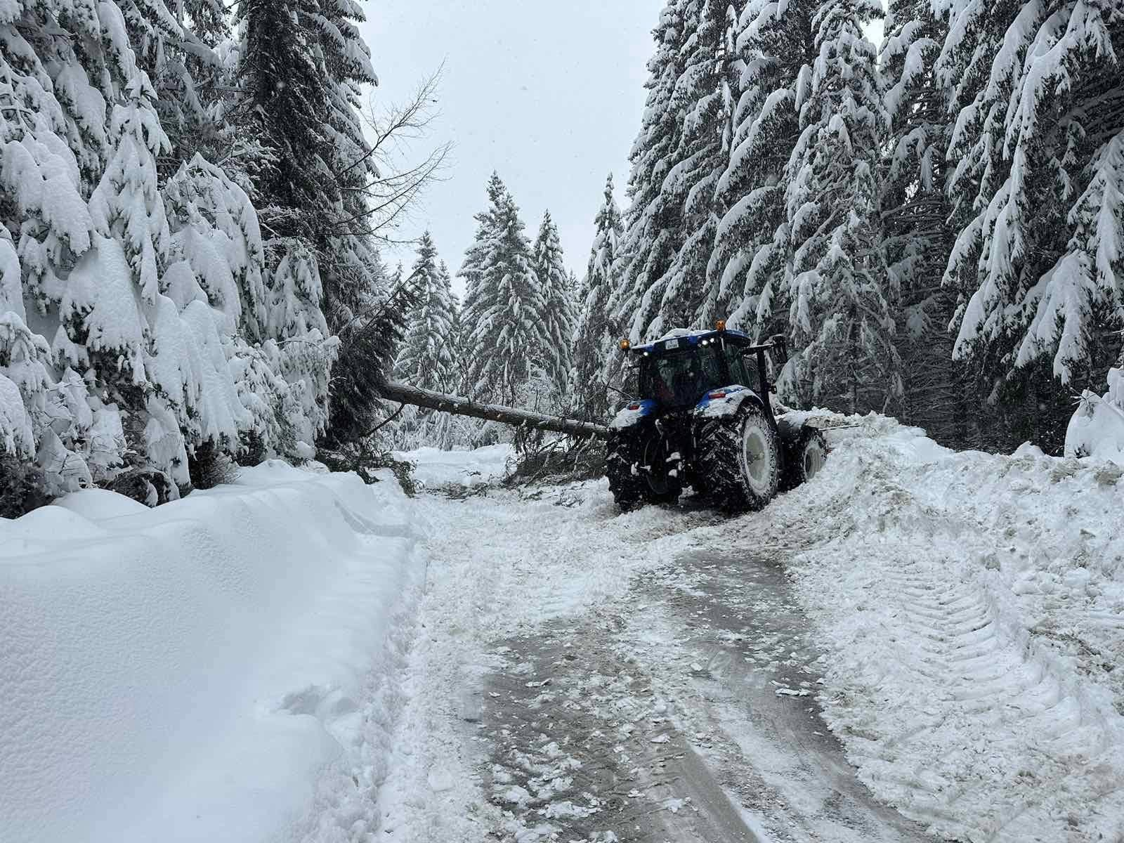 Пътят за Боровец