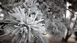 Студ сковава половин България, обявиха жълт код за 14 области