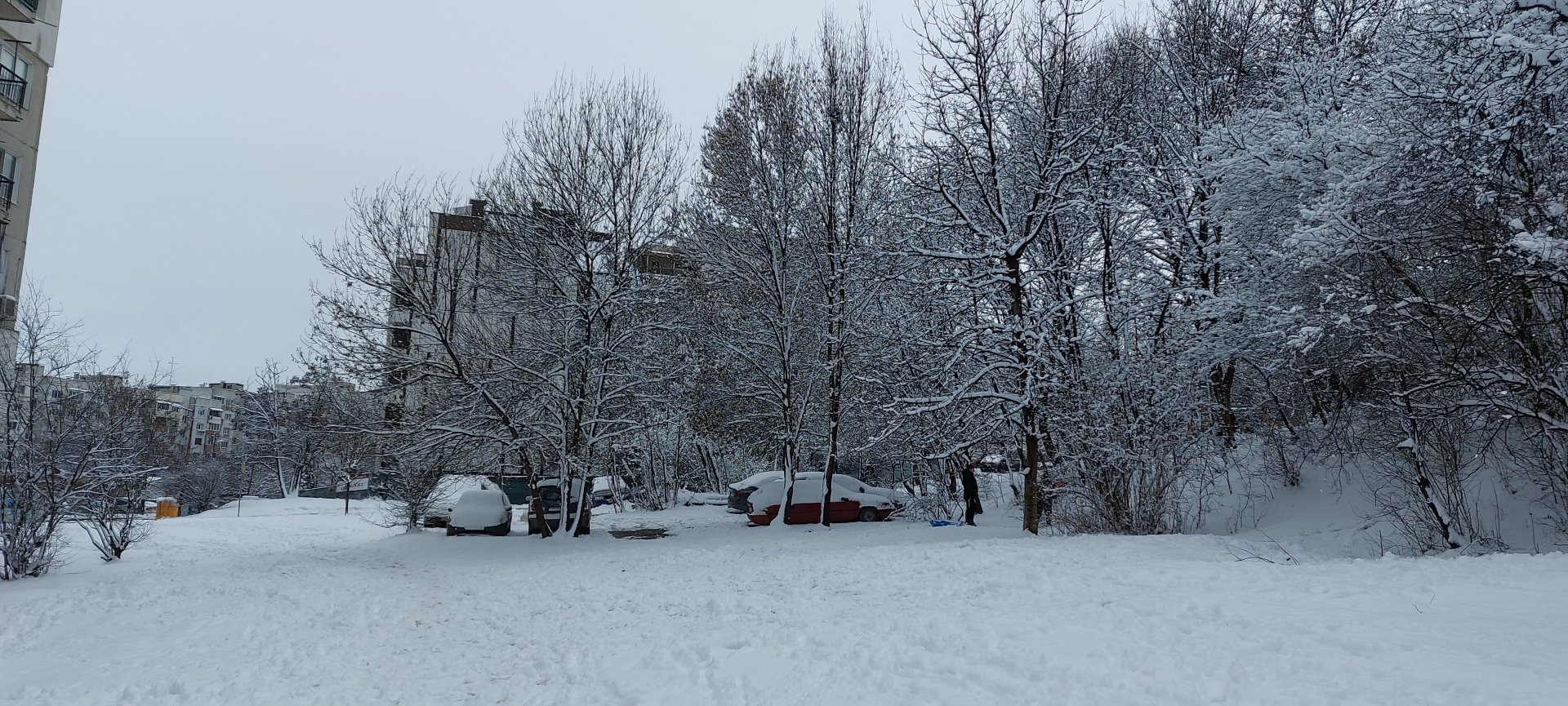 Снежната покривка в София