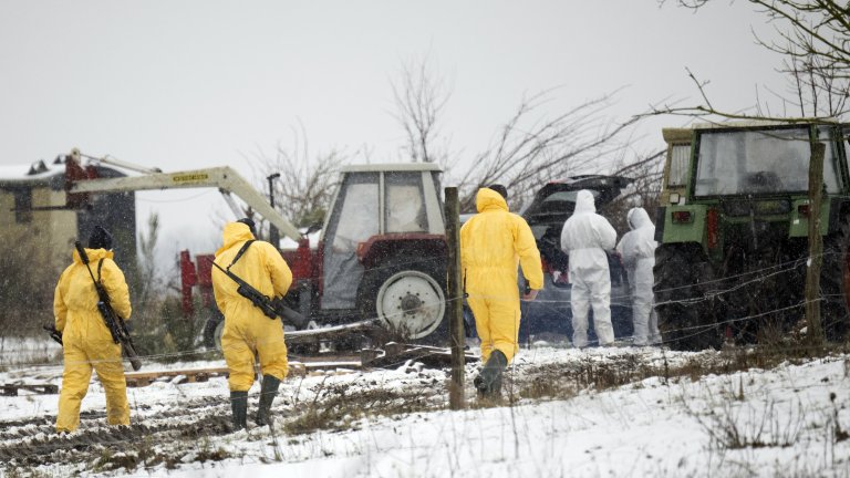 Южна Корея забрани вноса на свинско месо от Германия заради огнище от шап до Берлин