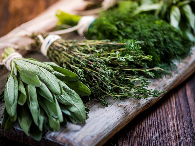 Съвети за правилното съхранение на пресни подправки