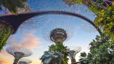 Сингапур въвежда първия в света "зелен“ данък върху авиационно гориво. Колко ще плащат европейците?