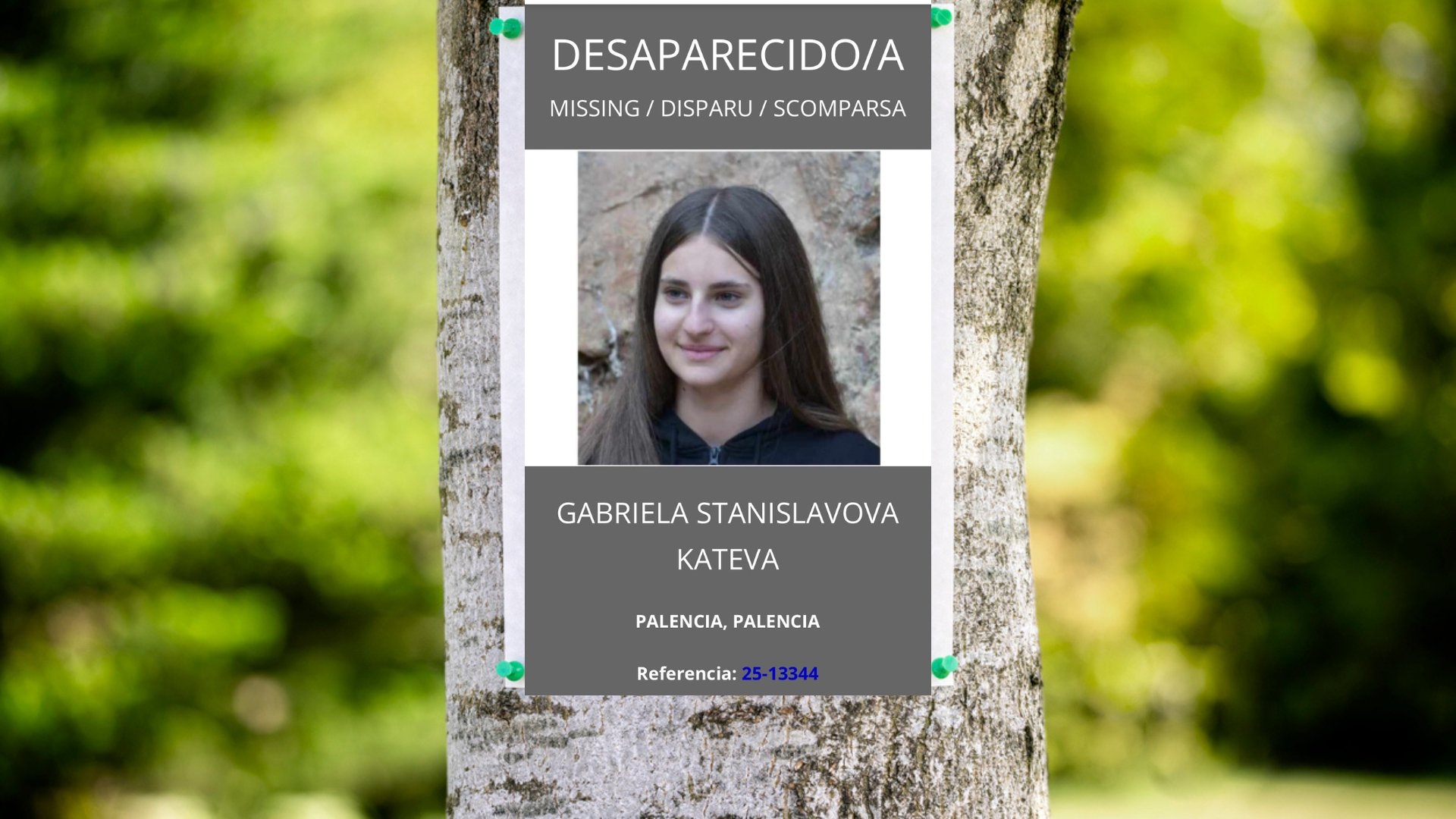 Според описанието, Габриела  е с ръст около 1,60 метра; с дълга права кестенява коса; зелени очи и слабо телосложение.


