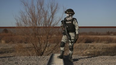Мексиканските власти иззеха 275 000 хапчета фентанил, скрити в кактуси