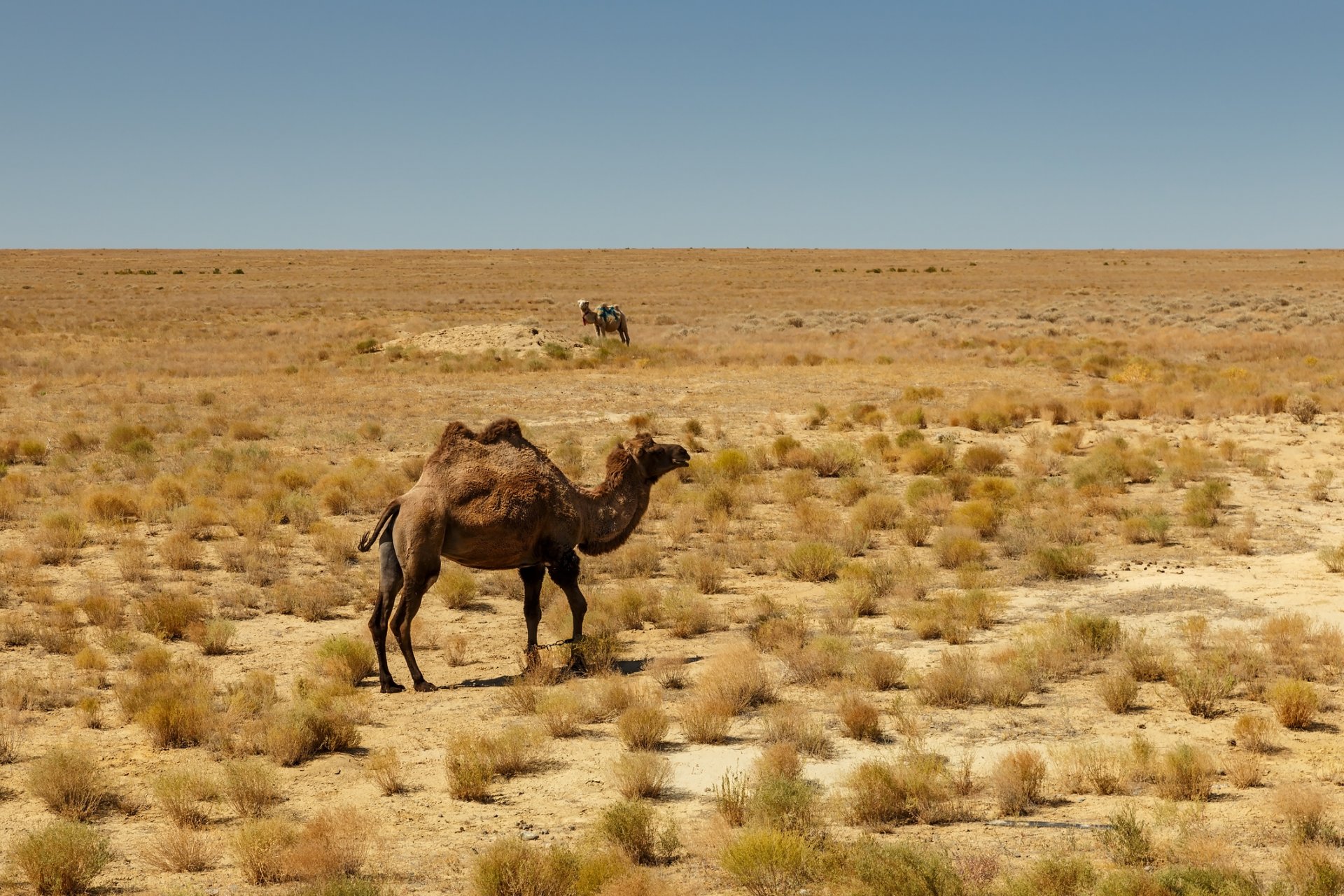 Аралско море