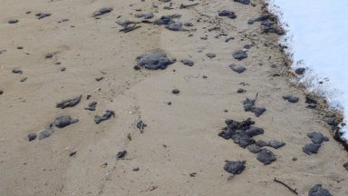 Институциите проверяват сигнали за петна от мазут в морето край