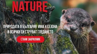 По случай Часа на Земята WWF стартира кампания за опазването на влажните зони у нас