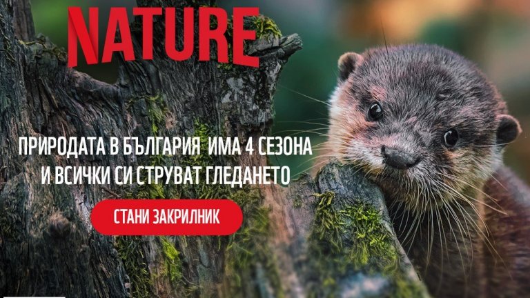 По случай Часа на Земята WWF стартира кампания за опазването на влажните зони у нас