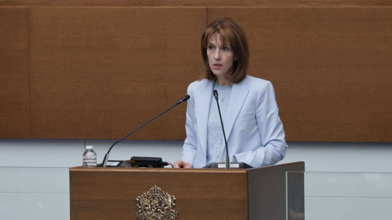 Семейният статус на Камелия Нейкова се превърна в парламентарна тема