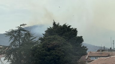 Горски пожар избухна край Царево Огънят бушува между селата Изгрев