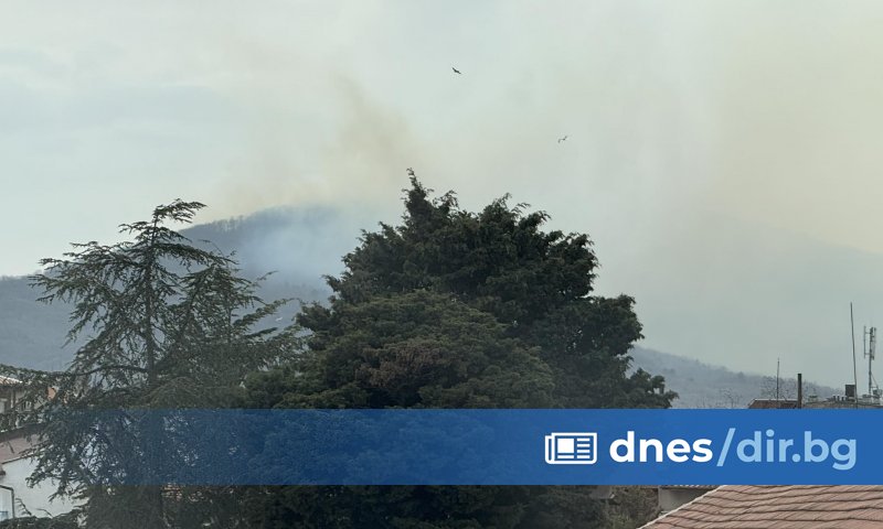Горски пожар избухна край Царево. Огънят бушува между селата Изгрев