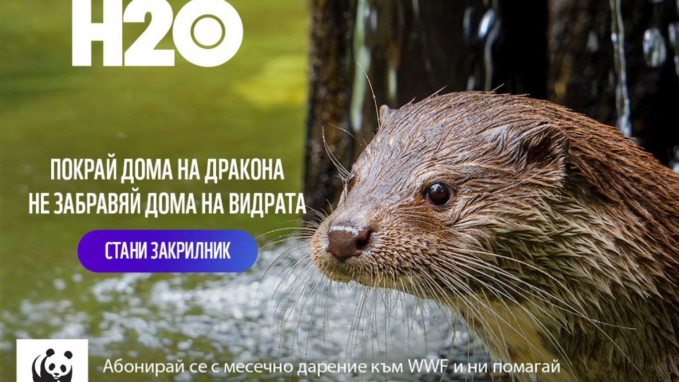В Деня на реките WWF се заема с опазването на дома на видрата