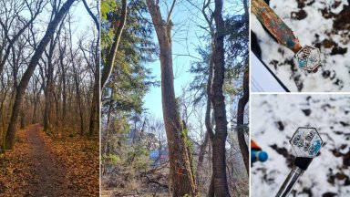 Експерти от Научноизследователския сектор на Лесотехнически университет ангажирани от Столична