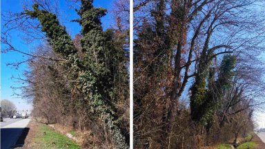 С писмо до министъра на регионалното развитие и областния управител