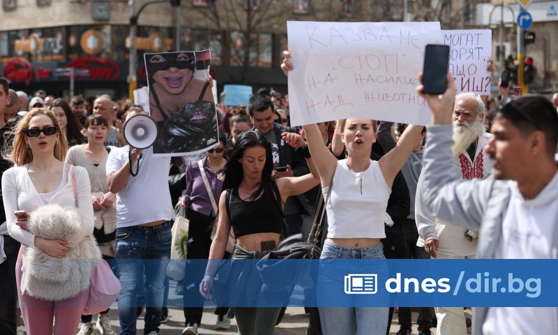 Граждани излязоха протест в София срещу насилието над животни. Повод