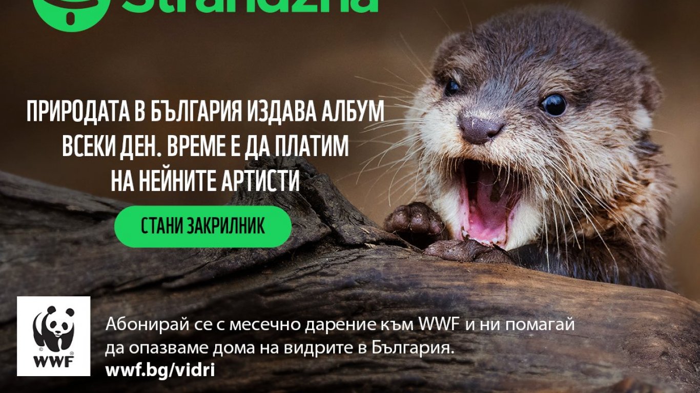 WWF възстановява един от последните запазени притоци на Дунав у нас