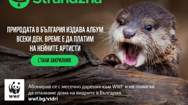 Природозащитната организация WWF започва работа по проучване на възможностите за