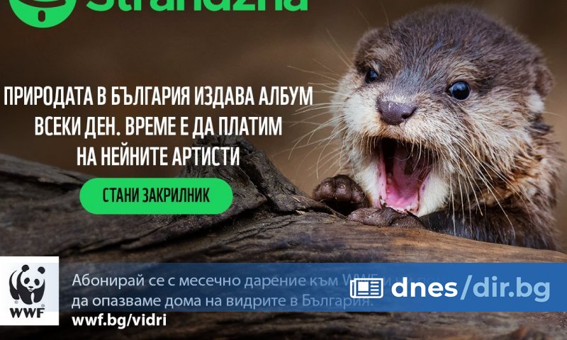 Природозащитната организация WWF започва работа по проучване на възможностите за