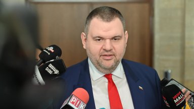 Няма къде да ходят всички ще бъдат с мен оттук