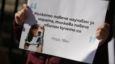 Предложенията за по строги санкции за насилие над животни са публикувани