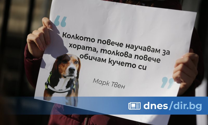 Предложенията за по-строги санкции за насилие над животни са публикувани