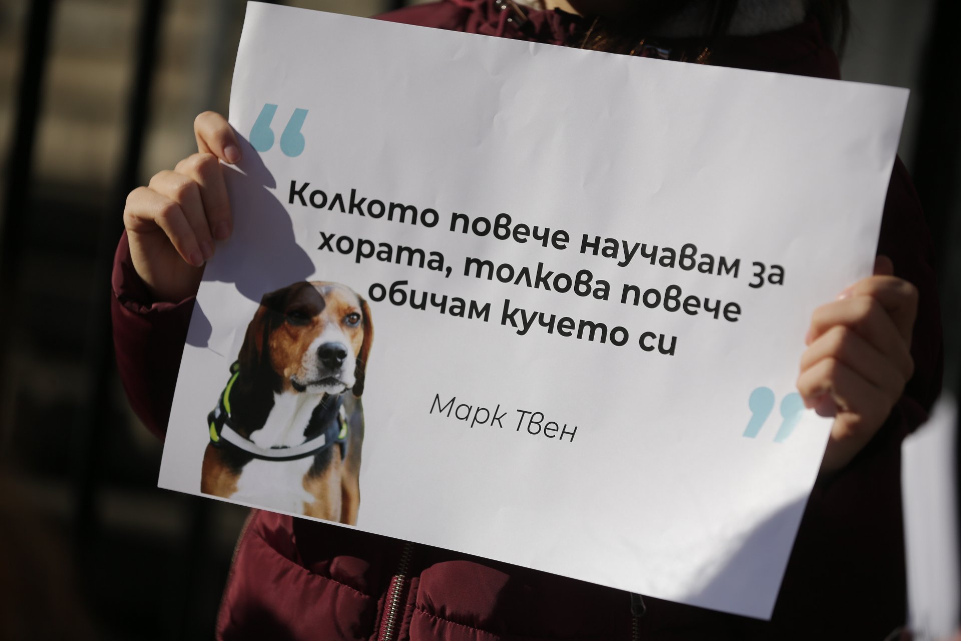 Снимка от протест в защита на животните