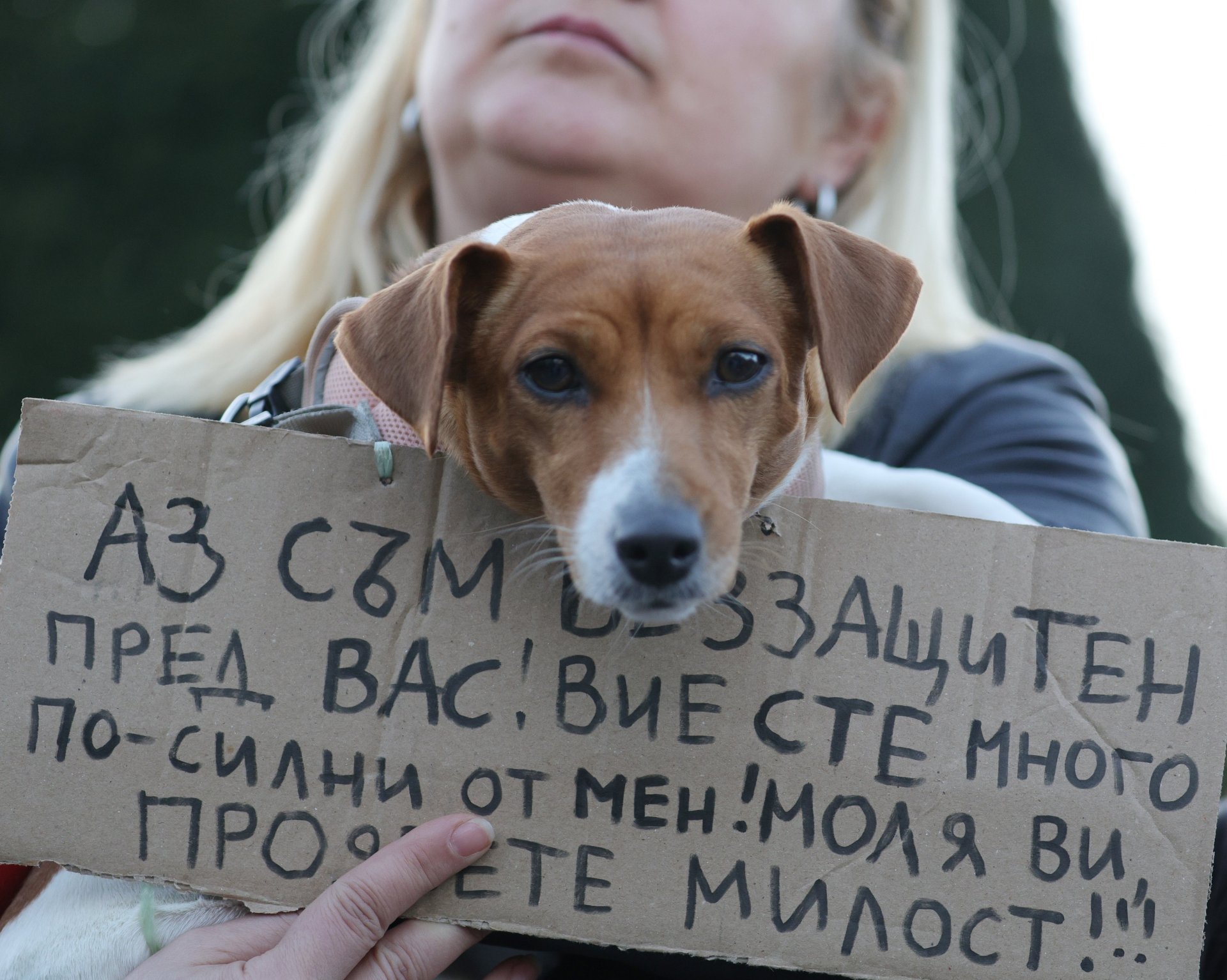 Протест срещу насилието над животни в Русе на 19 март