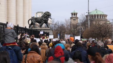 Сотици хора се събраха за протест срещу насилието над животни
