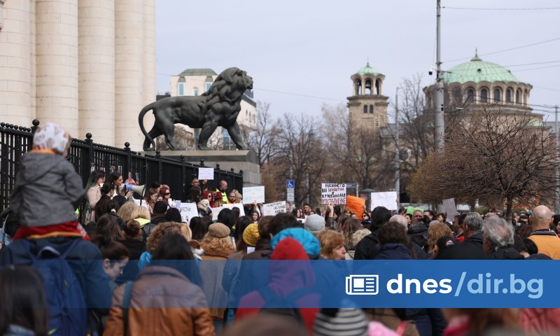 Сотици хора се събраха за протест срещу насилието над животни,