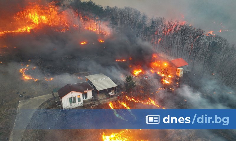 Горските пожари в югоизточния окръг Уисон, Южна Корея, изглежда излизат