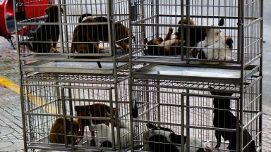 От ПП ДБ обмислят да внесат законодателни предложения за инкриминиране на